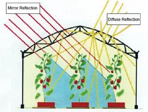 Greenhouse Diffused Plastic Film