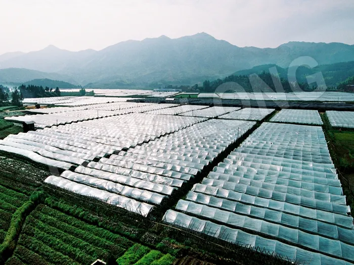 Greenhouse Diffused Plastic Film