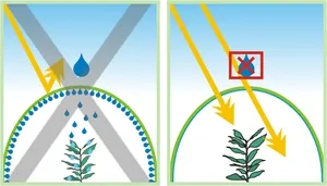 Greenhouse Diffused Plastic Film