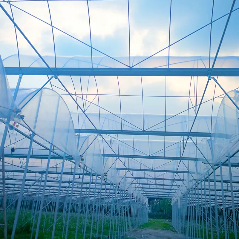 Greenhouse Film